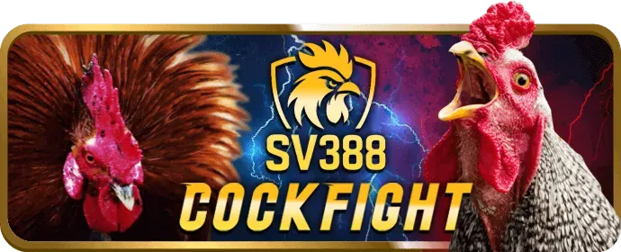 Hướng dẫn đăng nhập vào tài khoản 88bet